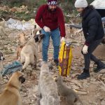 274621771_270769445226230_3228385927069119530_n