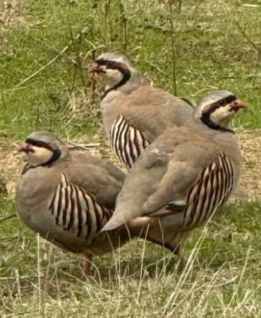 0VA8Xnn2VRN52j4DET5TNLf6TBXvwcKBraco2cafeQivTJhsPWqjLBS8qCKowB8oTl