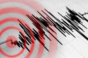 021LLhKSCgGCyS8riY5AgNjC8687yr2iYp1NLpZb4oBW7ktEj4rVKRCfZ8qrn9jKgNl