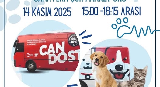 Marmara Adalar’da Sahiplendirme Etkinliği: Sokak Hayvanları İçin Sevgi Zamanı