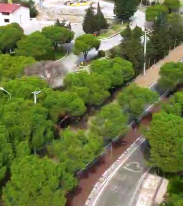 0eS79t7j1qg9w3faZxgEwgyKKnceog6ZFuYYLSgtZfgznWkq1o8Rg8eWVGMgyPwKNl