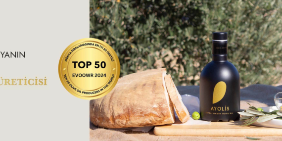 Soğuk Sıkım Zeytinyağı Satın Alırken Nelere Dikkat Edilmeli?