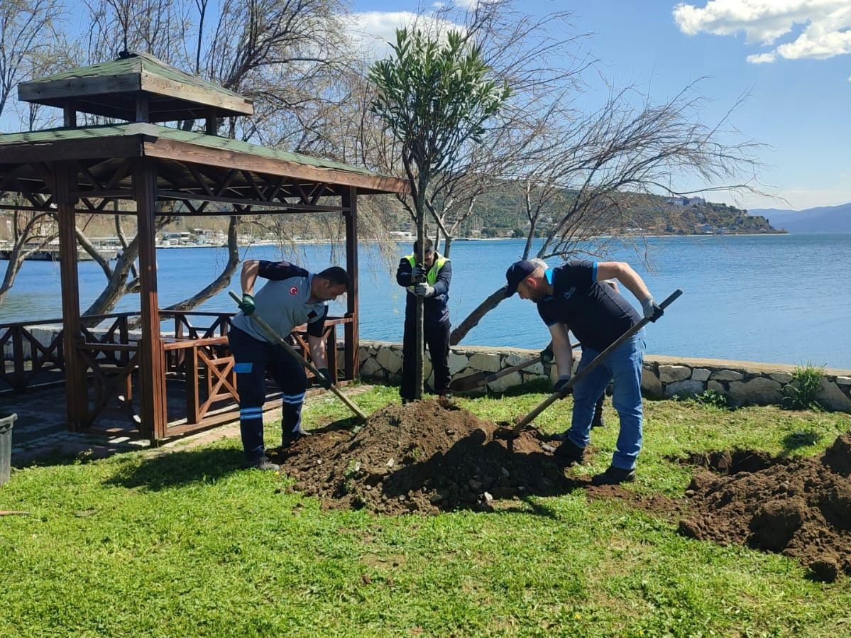 Marmara Adası Peyzaj Çalışmaları